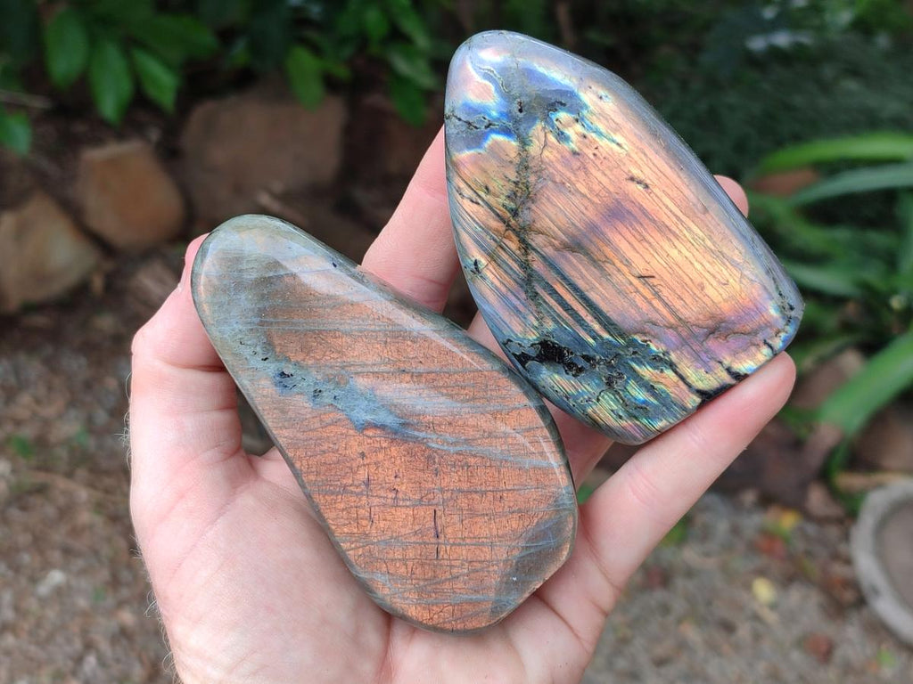 Polished Rare Purple Sunset Flash Labradorite Standing Free Forms x 6 From Tulear, Madagascar
