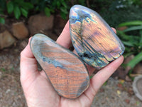 Polished Rare Purple Sunset Flash Labradorite Standing Free Forms x 6 From Tulear, Madagascar