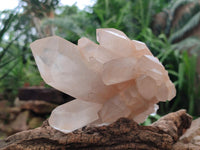 Natural Clear Quartz Crystal Clusters x 4 From Ambatofinandrahana, Madagascar