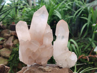 Natural Clear Quartz Crystal Clusters x 4 From Ambatofinandrahana, Madagascar