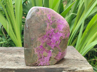 Polished XL Rare Purple Stichtite Standing Free Form x 1 From Barberton, South Africa