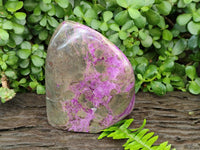 Polished XL Rare Purple Stichtite Standing Free Form x 1 From Barberton, South Africa