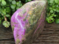 Polished XL Rare Purple Stichtite Standing Free Form x 1 From Barberton, South Africa