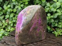 Polished XL Rare Purple Stichtite Standing Free Form x 1 From Barberton, South Africa