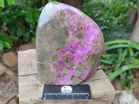 Polished XL Rare Purple Stichtite Standing Free Form x 1 From Barberton, South Africa