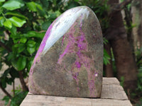 Polished XL Rare Purple Stichtite Standing Free Form x 1 From Barberton, South Africa