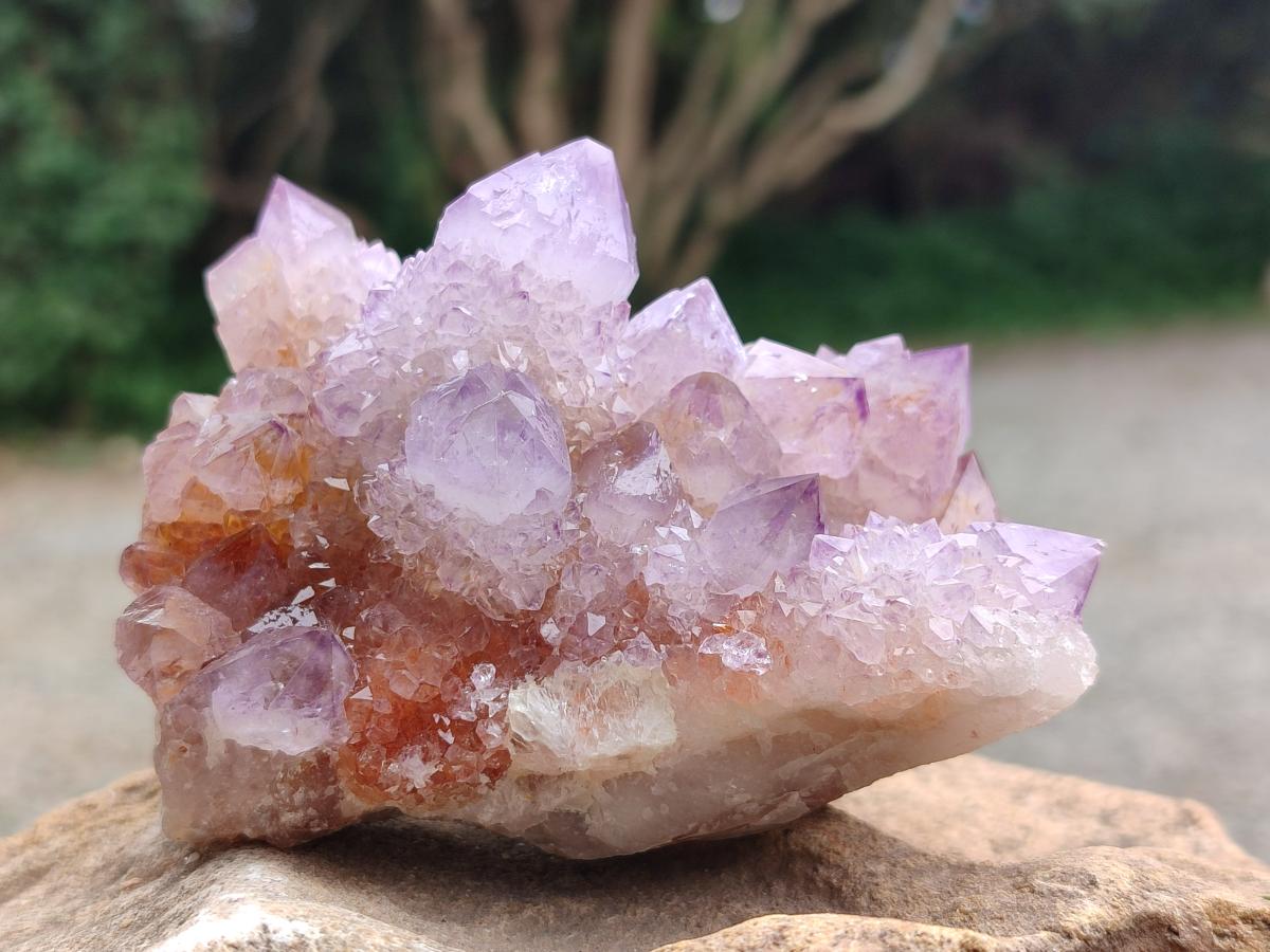 Natural Drusy Coated Spirit Amethyst and Ametrine Clusters x 3 From Boekenhouthoek, South Africa