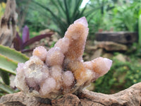 Natural Drusy Coated Spirit Amethyst and Ametrine Clusters x 3 From Boekenhouthoek, South Africa