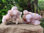 Natural Drusy Coated Spirit Amethyst and Ametrine Clusters x 3 From Boekenhouthoek, South Africa