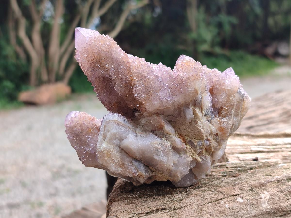 Natural Drusy Coated Spirit Amethyst and Ametrine Clusters x 3 From Boekenhouthoek, South Africa
