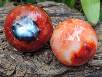 Polished Carnelian Gemstone Spheres x 6 From Madagascar