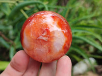 Polished Carnelian Gemstone Spheres x 6 From Madagascar