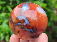 Polished Carnelian Gemstone Spheres x 6 From Madagascar