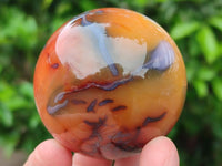 Polished Carnelian Gemstone Spheres x 6 From Madagascar