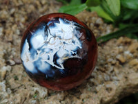 Polished Carnelian Gemstone Spheres x 6 From Madagascar