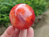 Polished Carnelian Gemstone Spheres x 6 From Madagascar