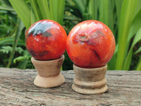 Polished Carnelian Gemstone Spheres x 6 From Madagascar