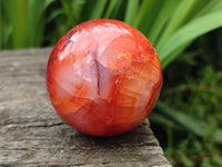 Polished Carnelian Gemstone Spheres x 6 From Madagascar