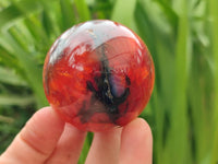 Polished Carnelian Gemstone Spheres x 6 From Madagascar