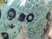 Polished Stromatolite Standing Free Forms x 3 From Katsepy, Madagascar