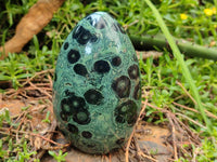 Polished Stromatolite Standing Free Forms x 3 From Katsepy, Madagascar