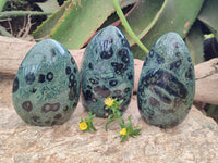 Polished Stromatolite Standing Free Forms x 3 From Katsepy, Madagascar
