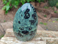 Polished Stromatolite Standing Free Forms x 3 From Katsepy, Madagascar