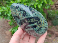 Polished Stromatolite Standing Free Forms x 3 From Katsepy, Madagascar