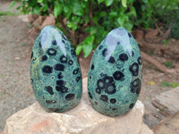 Polished Stromatolite Standing Free Forms x 3 From Katsepy, Madagascar