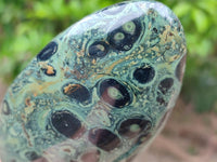 Polished Stromatolite Standing Free Forms x 3 From Katsepy, Madagascar