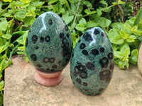 Polished Stromatolite Standing Free Forms x 3 From Katsepy, Madagascar