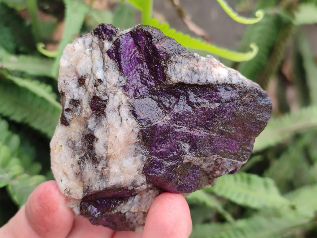 Natural Metallic Cobbed Purpurite Specimens x 12 From Erongo, Namibia
