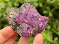 Natural Metallic Cobbed Purpurite Specimens x 12 From Erongo, Namibia