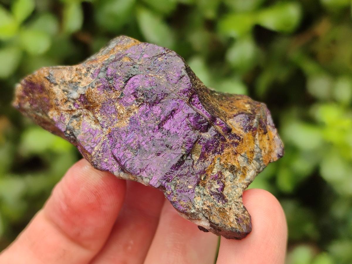 Natural Metallic Cobbed Purpurite Specimens x 12 From Erongo, Namibia