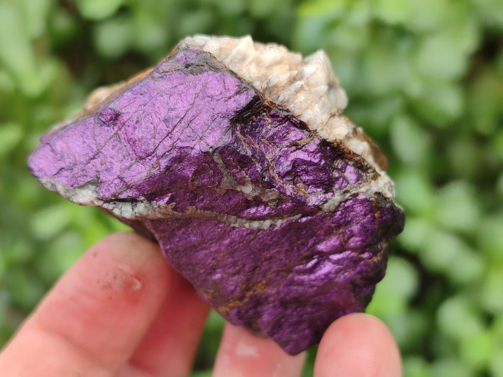 Natural Metallic Cobbed Purpurite Specimens x 12 From Erongo, Namibia