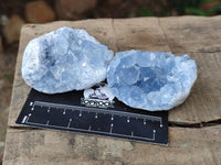 Natural Blue Celestite Specimens x 30 From Sakoany, Madagascar