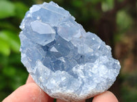 Natural Blue Celestite Specimens x 30 From Sakoany, Madagascar