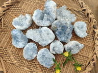 Natural Blue Celestite Specimens x 30 From Sakoany, Madagascar