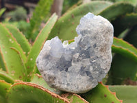 Natural Blue Celestite Specimens x 30 From Sakoany, Madagascar