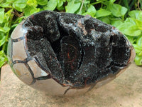 Polished Septerye Sauvage "Dragons Egg" Geode x 1 From Mahajanga, Madagascar