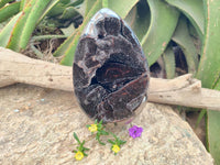 Polished Septerye Sauvage "Dragons Egg" Geode x 1 From Mahajanga, Madagascar