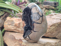 Polished Septerye Sauvage "Dragons Egg" Geode x 1 From Mahajanga, Madagascar