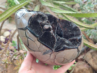 Polished Septerye Sauvage "Dragons Egg" Geode x 1 From Mahajanga, Madagascar