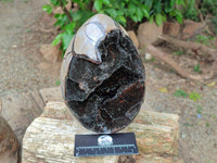 Polished Septerye Sauvage "Dragons Egg" Geode x 1 From Mahajanga, Madagascar