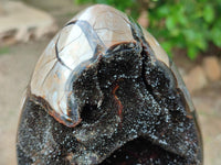 Polished Septerye Sauvage "Dragons Egg" Geode x 1 From Mahajanga, Madagascar