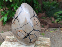 Polished Septerye Sauvage "Dragons Egg" Geode x 1 From Mahajanga, Madagascar