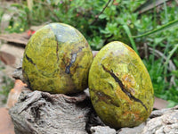 Polished Green Opal Standing Free Forms x 3 From Betroka, Madagascar