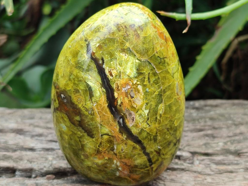 Polished Green Opal Standing Free Forms x 3 From Betroka, Madagascar