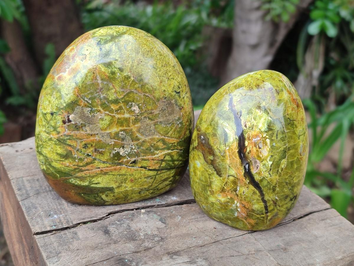 Polished Green Opal Standing Free Forms x 3 From Betroka, Madagascar