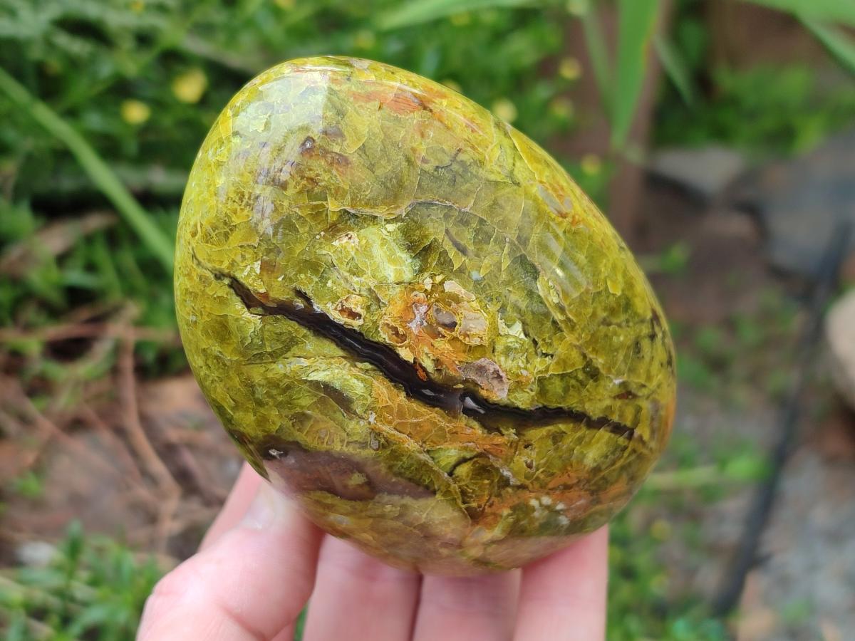 Polished Green Opal Standing Free Forms x 3 From Betroka, Madagascar